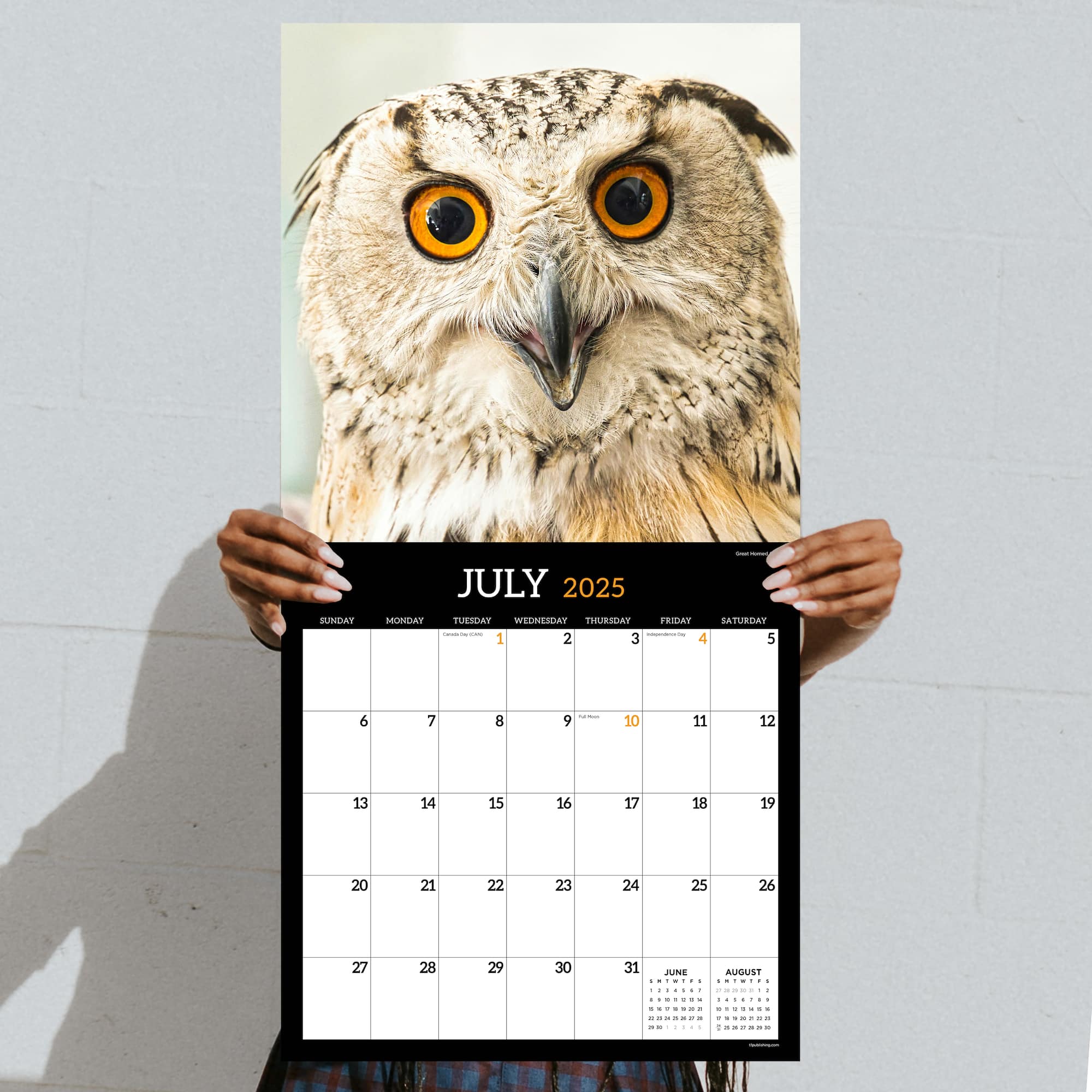 TF Publishing 2025 Owls Wall Calendar